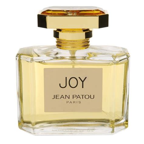 dupe von dior joy|perfume similar to joy.